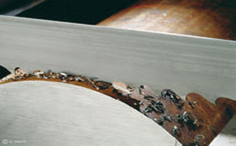 阜新带锯床线速度设定过高，为什么会导致带锯条齿尖发热加速锯条的磨损？